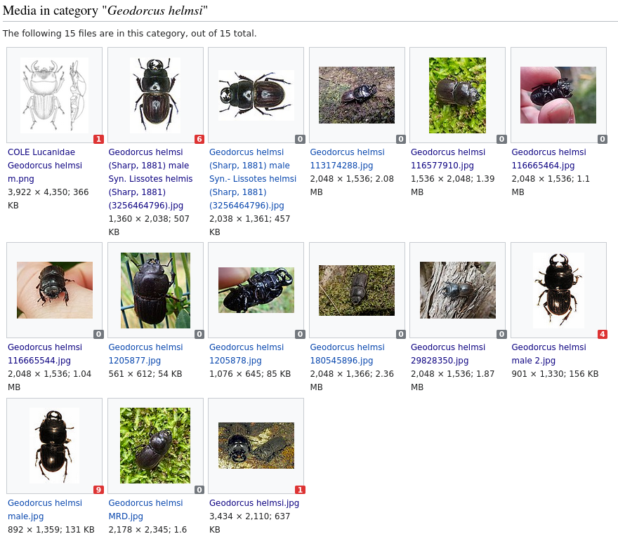 An example of the Global Usage Badges gadget in use - each preview image has a small box in the bottom right-hand corner showing the number of times it is used